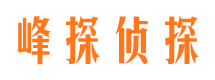 广陵侦探公司